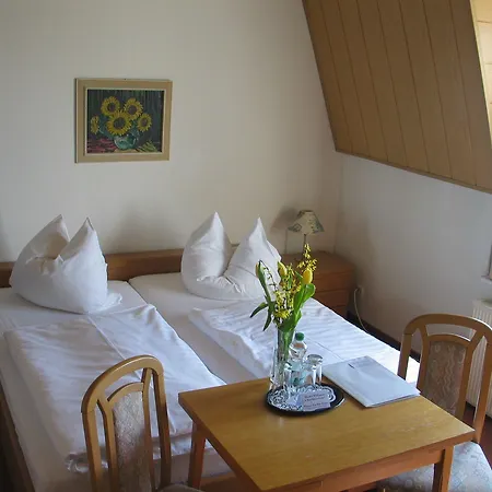 Guest house Adler
